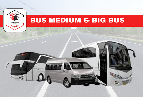 Bus Premium & Big Bus